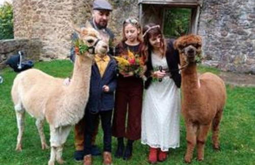 Ferienhaus Alpaka Glück - Foto 49