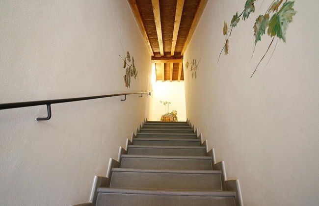 Gatto Bianco Tizzauli - Foto 41