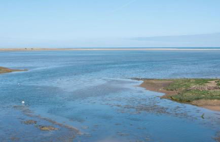 Budle Bay Loft - Foto 15