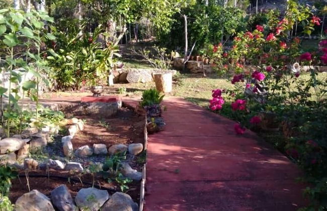 EstudioArte Alojamiento - Foto 14