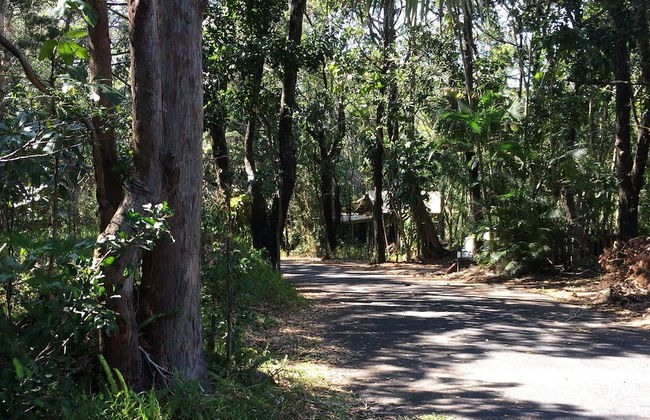 Byron Bay Rainforest Resort - Photo 30