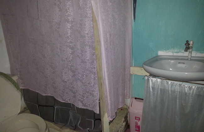 Nature in portland - Foto 15