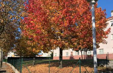 A Coruña al lado de la playa - Foto 11