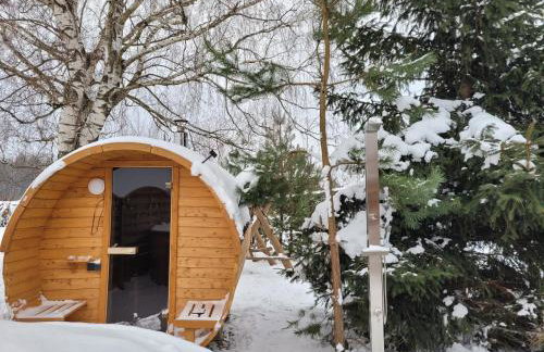 Dom pod brzozą-urowo - Foto 54