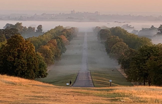 Windsor Mews by Stay Focused SA - Photo 28