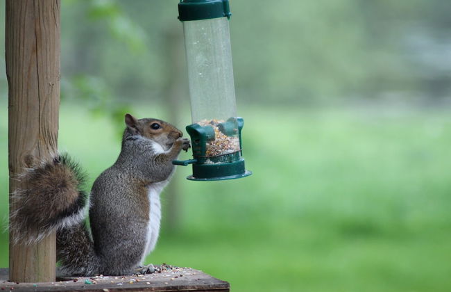 Colston Hall Cottages - Foto 64