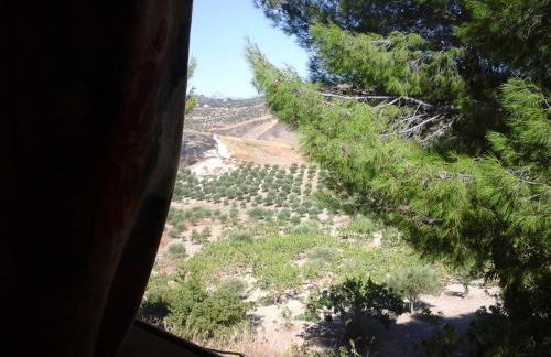 Ciuci's Manor - Foto 52