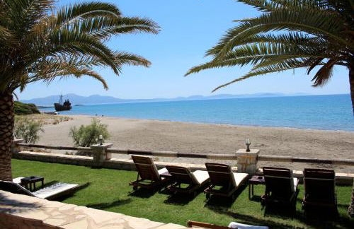 Konstantinos - Photo 16