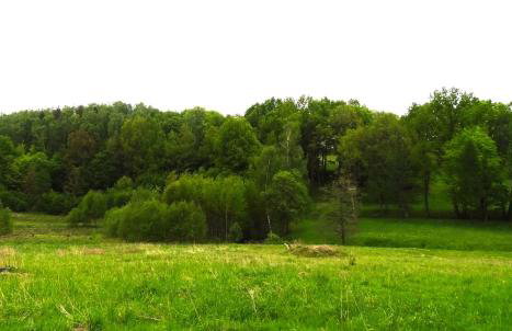 Dom Na Wzgórzu - Foto 11