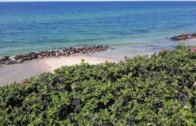 Luxury Villa With Pool - By Traum Ferienwohnungen - Foto 25