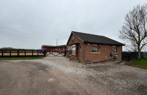 The Bungalow - Photo 11