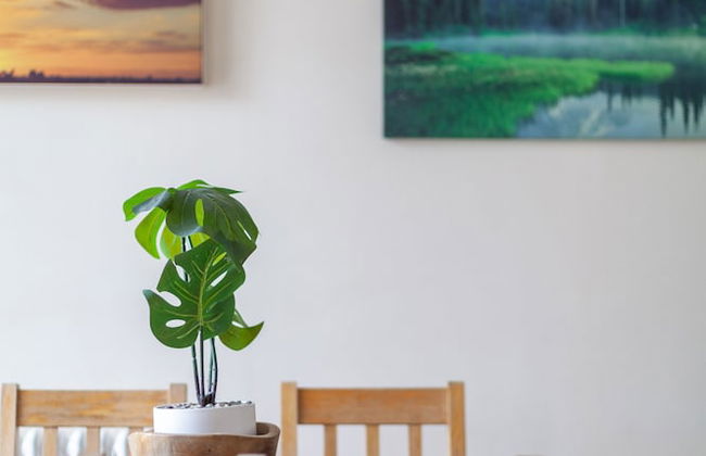 Spacious 3-bed flat by popular Waterloo - Photo 21