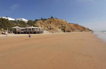 Casa Palmera - Foto 20