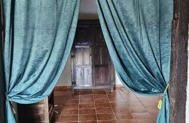 Experience Alpacas in Andalucia - Foto 9