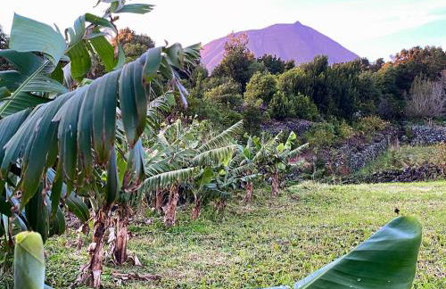 Casa do Almance - Photo 31