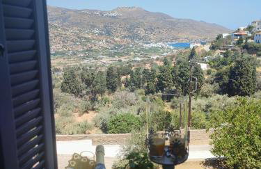 Astra, Pyrgos Sareli 1690 - a Heritage Mansion - Foto 76