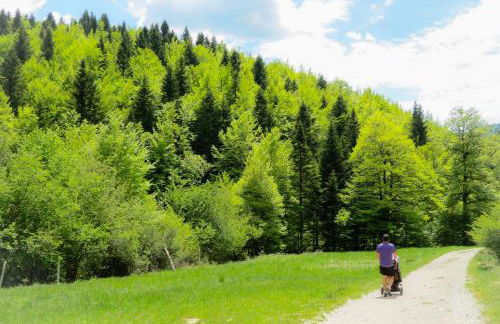 IKUILU Ochagavia-Selva de Irati - Foto 43