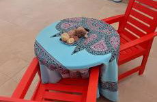 Casa Tabaiba - Photo 12