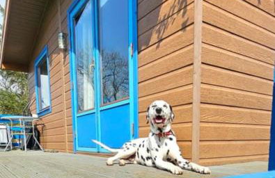 Glen Bay - 2 Bed Lodge on Friendly Farm Stay with Private Hot Tub - Foto 71