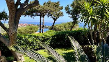 Bellavista Porto Rotondo - Photo 5, Garden