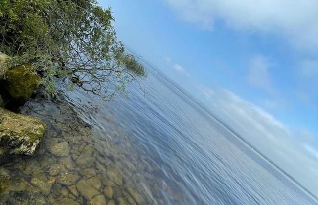 Beautiful 3-bed Cottage in Tipperary - Photo 9
