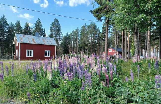 Lapland Pure Nature and More! - Foto 21