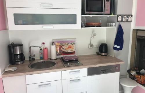 Ferienapartments Gohrisch Villa Schönblick - Foto 37