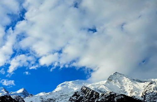 Le Chalet d'Alice - Photo 3