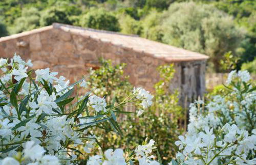 Résidence Vista Blu - Foto 17