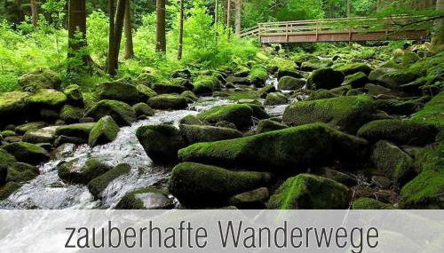 Hütte40: Ganze Hütte nah am See mit privatem Whirlpool, Sauna. Umzäunt. - Foto 3