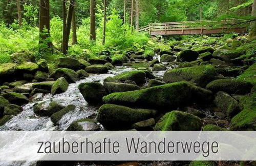 Hütte41: Ganze Hütte nah am See mit privatem Whirlpool, Sauna. Umzäunt. - Foto 6