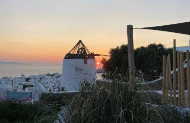 THE VIEW OF MYKONOS - Foto 7