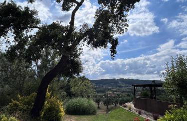 Quinta Inge - Foto 17
