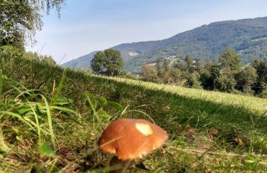 Apartament Buczyna - Foto 22