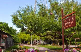 Hill Country Haute n Haus Relax and Renew - Photo 6