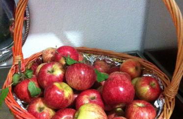 Sa Perda Lada - Foto 29