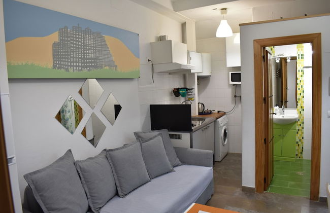 Golondrinas de la Alhambra - Foto 28