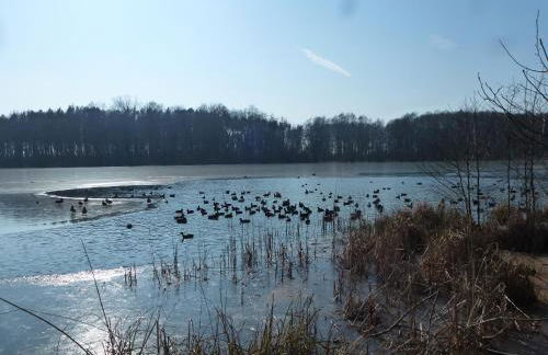 Seeblick Kemnitz - Photo 17