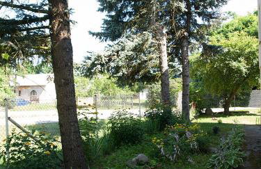 Gospodarstwo Agroturystyczne w Borszycach - Foto 29