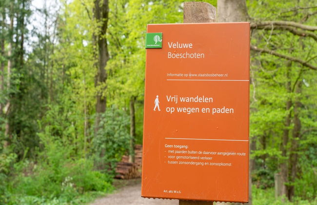 Forest Cabin With Pets - Photo 38