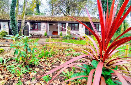 Kerenza Cottage - Families & Pets - Foto 32