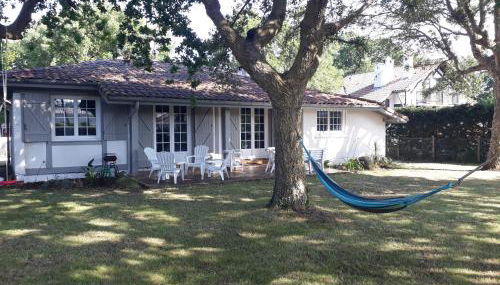 Les 3 meninos - Foto 5, Garden