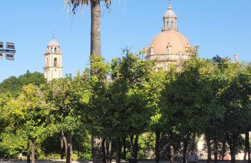 Jerez Centro Historico - Foto 50