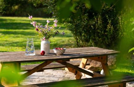 Ferienhof Schnurrum - Foto 66