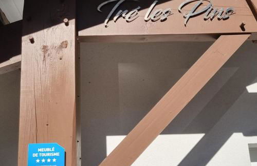 Villa Tré les Pins, 7 chambres, à 100m du LAC DE LACANAU - Foto 11