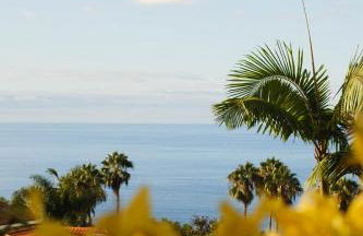 Villa Casa Papaya - All Year Heated Pool - Foto 23