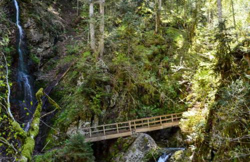 Apartment Spatzenparadies by Interhome - Foto 52