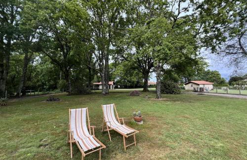 Résidence 105-st Vivien De Medoc - 105 - Superbe maison avec son grand parc verdoyant MAE-2871 - Foto 5