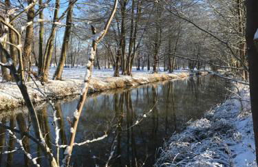 Ferienwohnungen direkt am Wasser - Photo 26