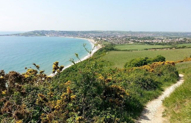 Beachcomber Holiday Apartments - Foto 34